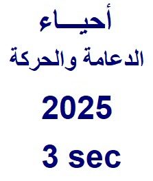 مصغرة الدورة